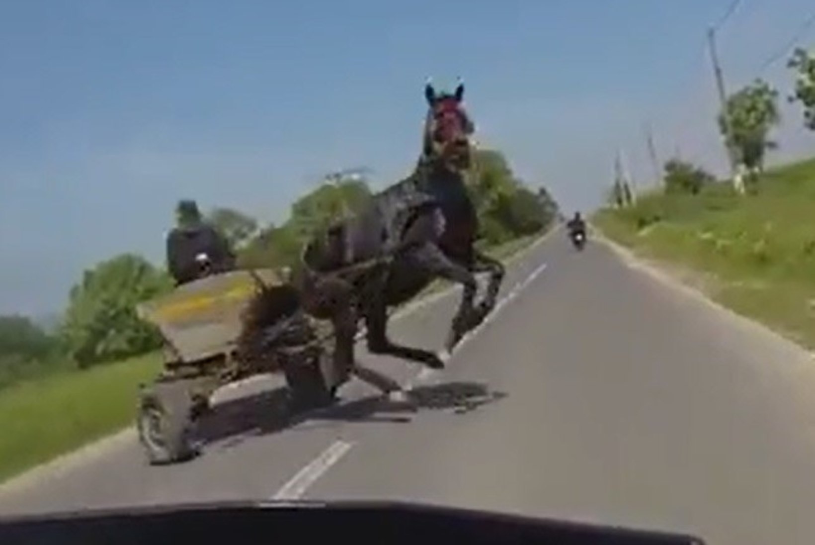 VIDEO: mootorrattal naine oleks napilt hobusele osta sõitnud!