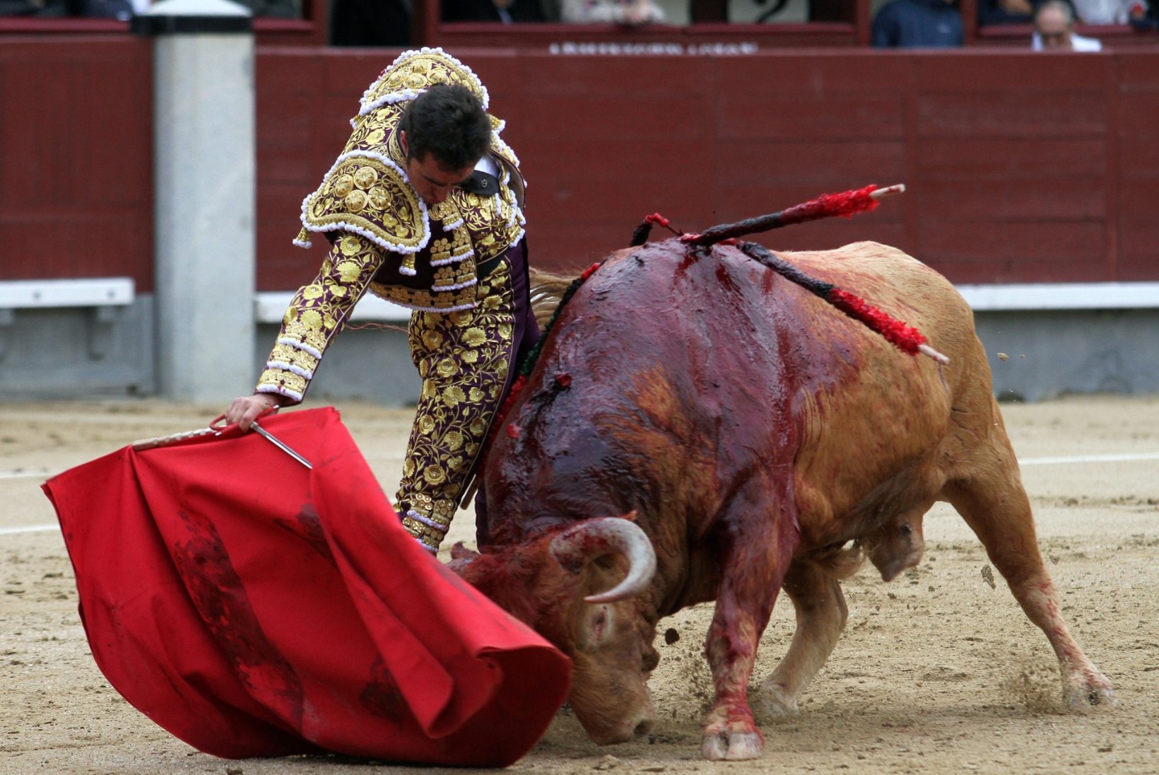 FOTOD: Madridis said matadoorid härgadelt räsida