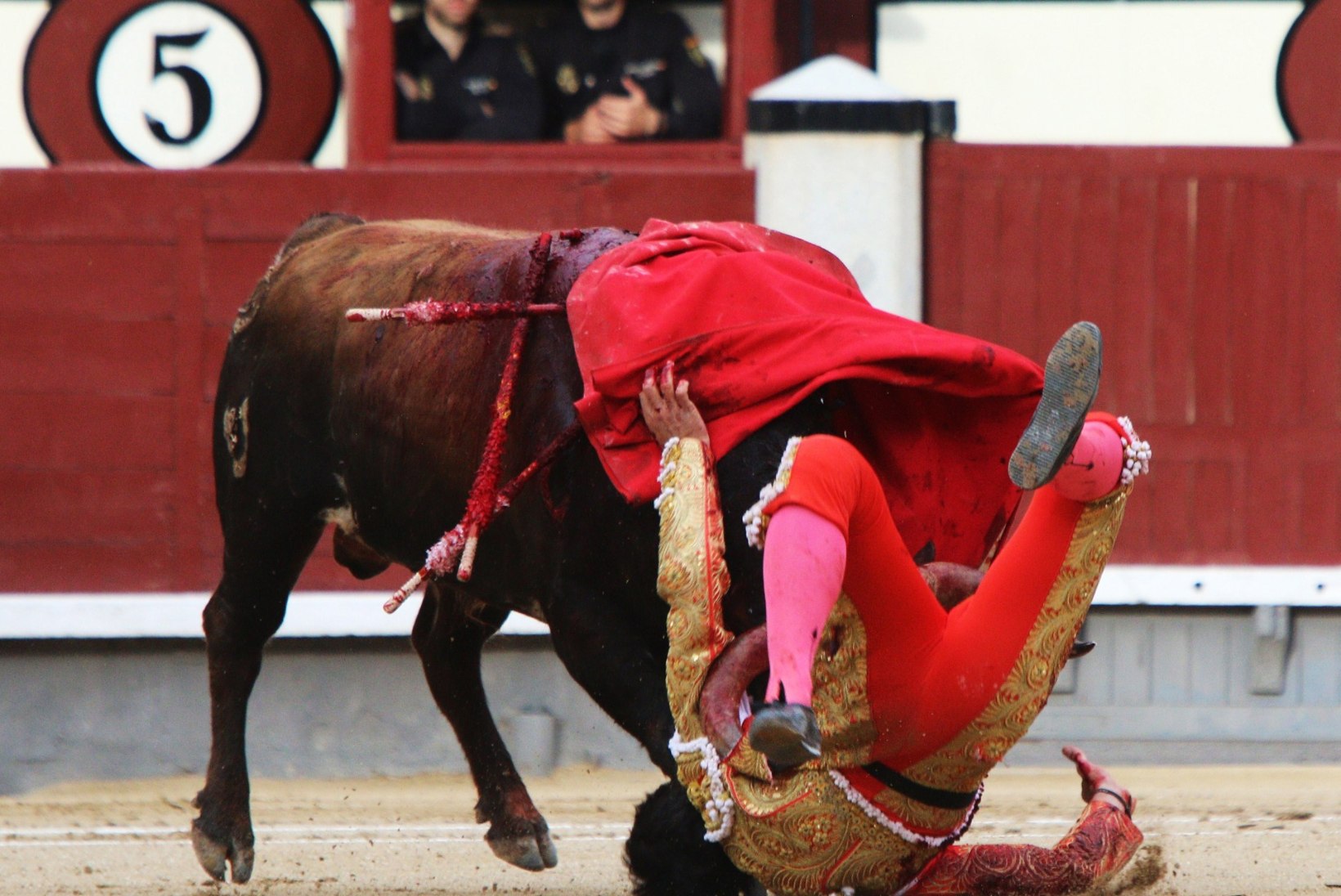 FOTOD: Madridis said matadoorid härgadelt räsida