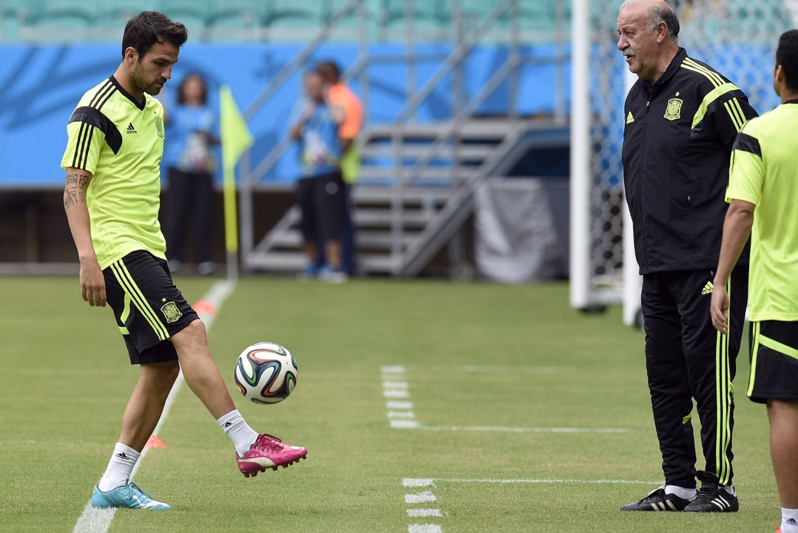 VIDEO: Fabregas saadeti hispaanlaste treeningult minema!