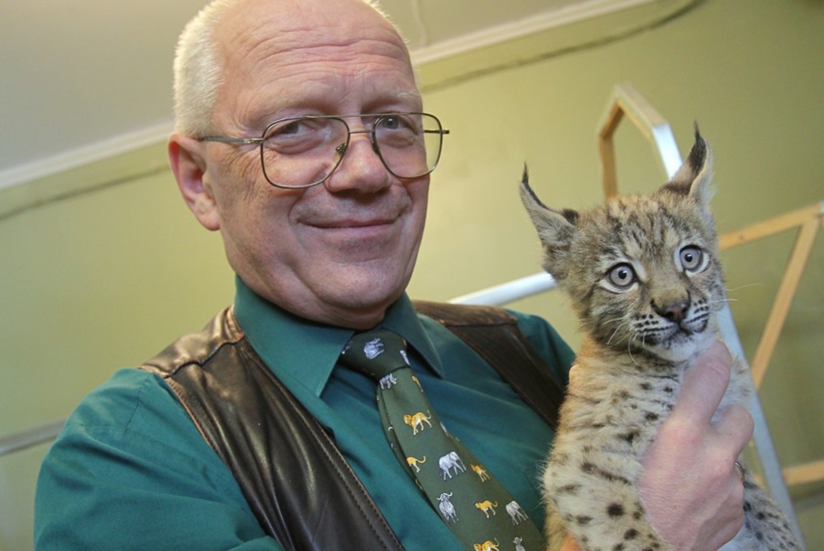 Loomaaia direktor Mati Kaal üritab vähemalt aasta veel ametis olla