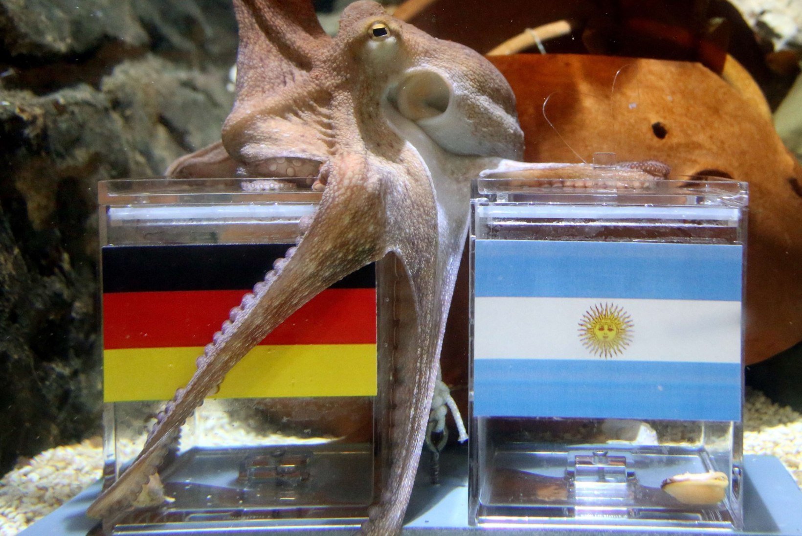 JALGPALLISTUUDIO: jäänud on vaid üks küsimus – Saksamaa või Argentiina?