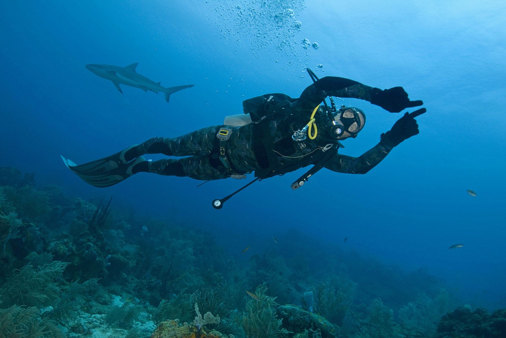 ARMSAD FOTOD: sukelduja sattus vee all kokku kalaga, kes tahtis kallistusi ja musisid