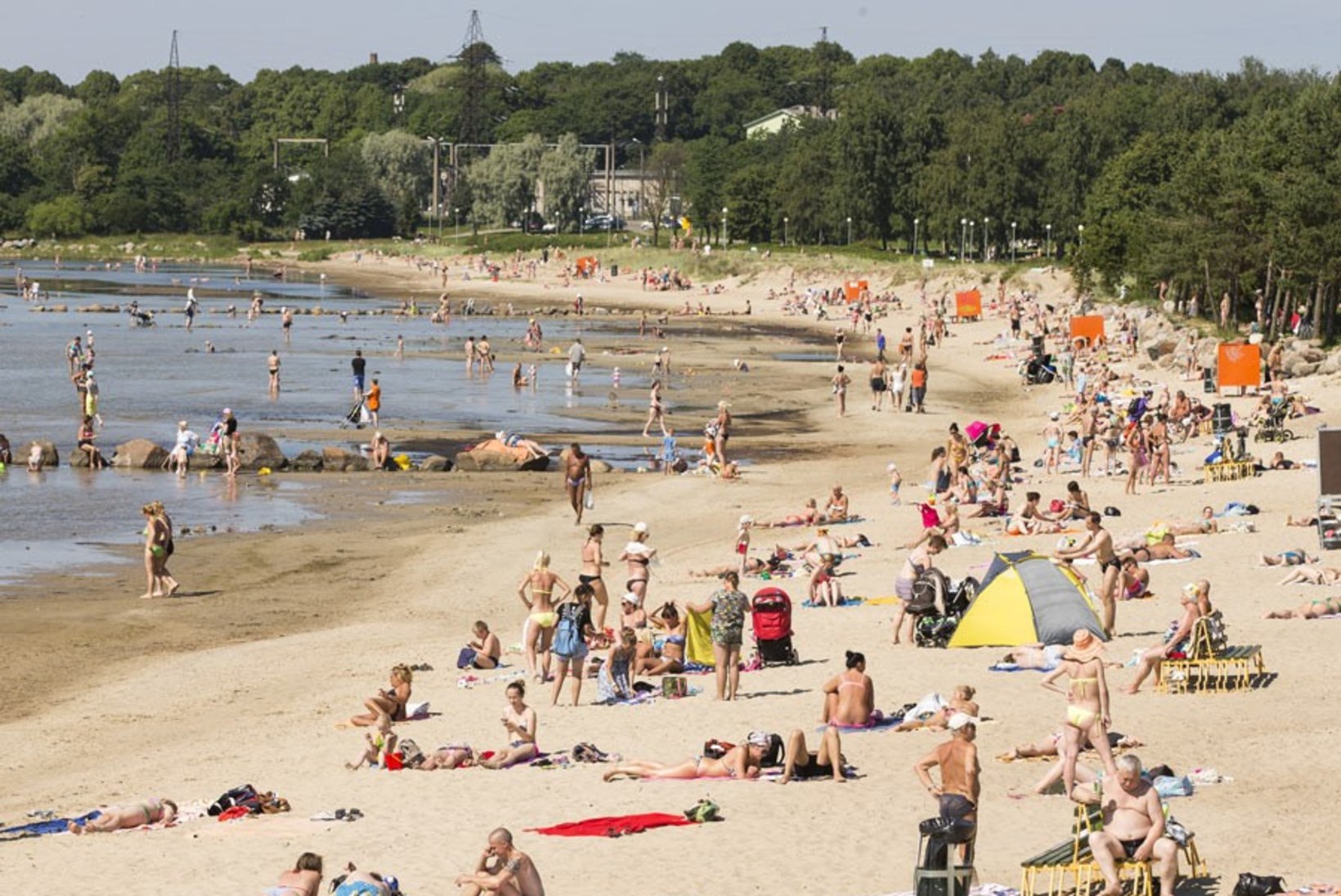 Lohusalu, Laulasmaa ja Stroomi ranna vees on toksilised vetikad!