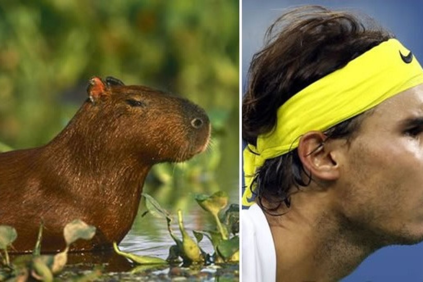 FOTOSEERIA: Rafael Nadal ja veesiga on nagu kaks tilka vett!