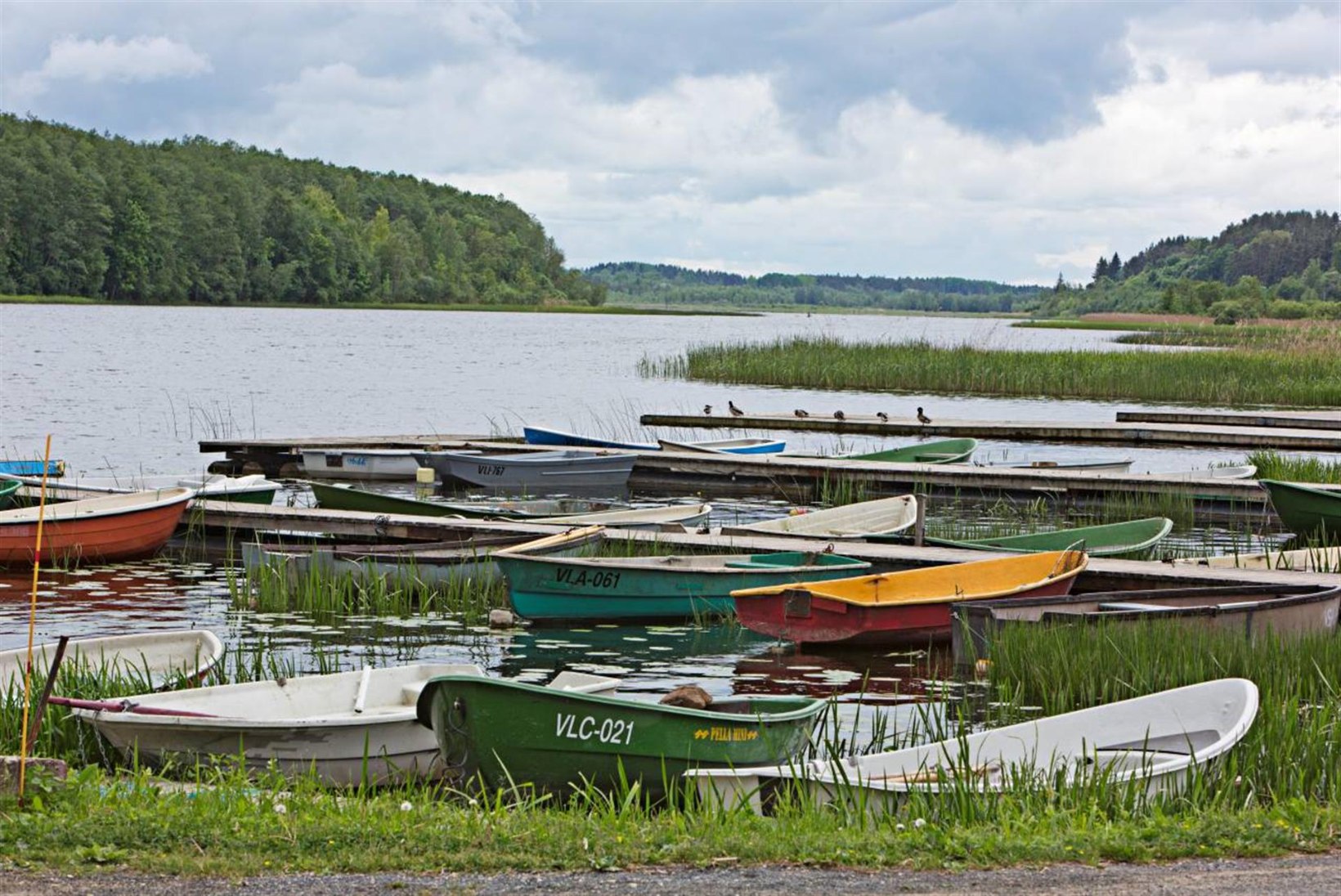 Viljandi järv - priskete ahvenate paradiis