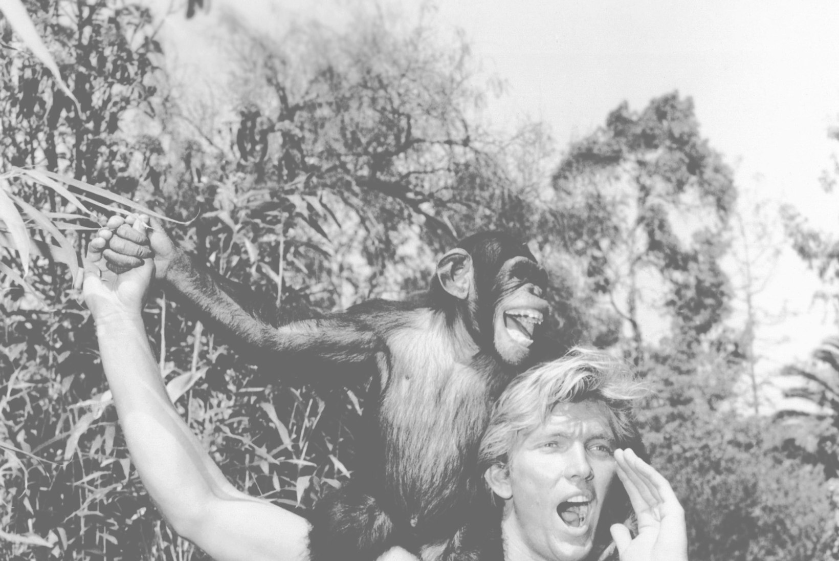 Suri esimene blond Tarzan