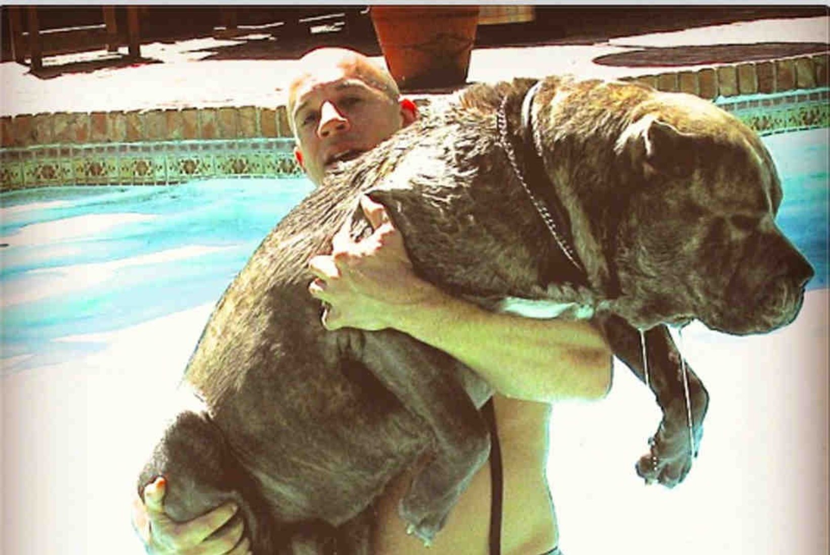 PILTUUDIS: Vin Dieseli koer on peaaegu sama suur kui ta ise!