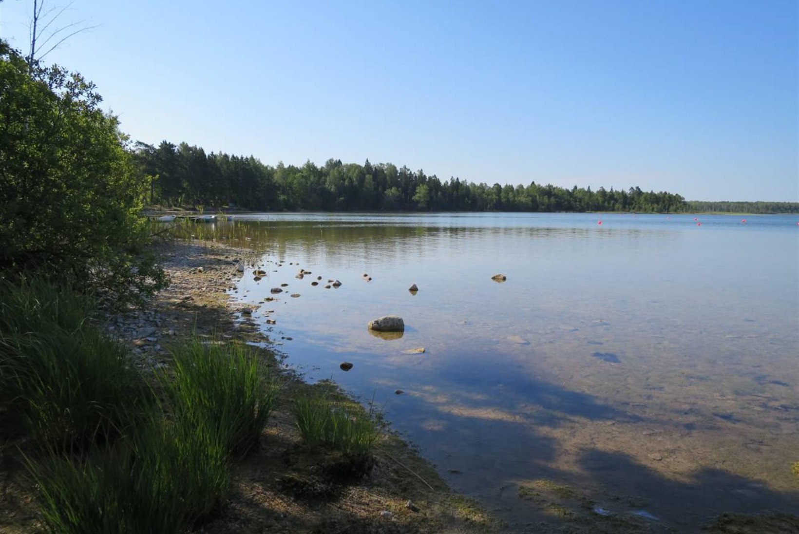 Saaremaa Karujärv – järv, kus ahvenad söövad vähki