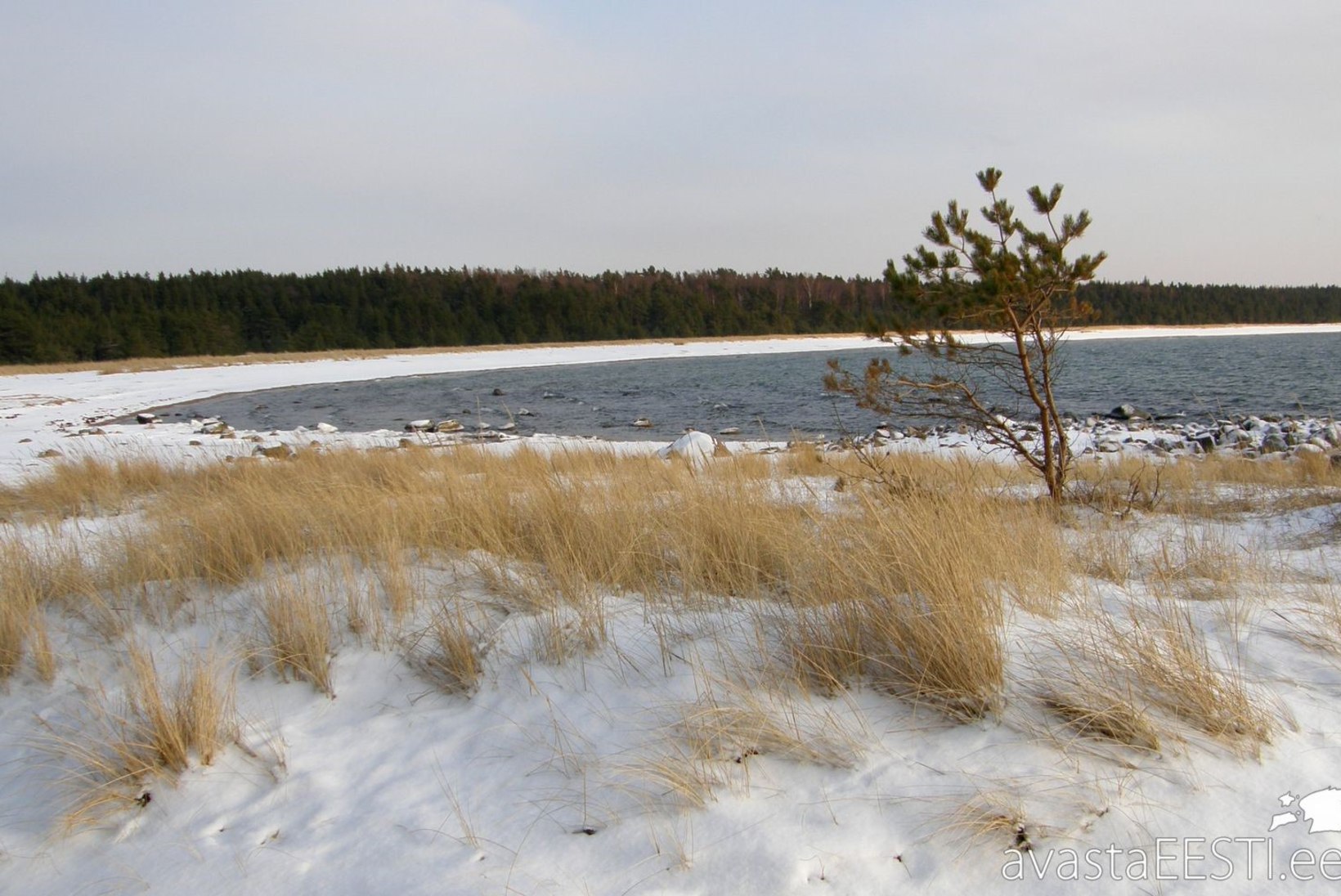 Avasta Eestimaad: millisesse randa tuleks minna talvel?