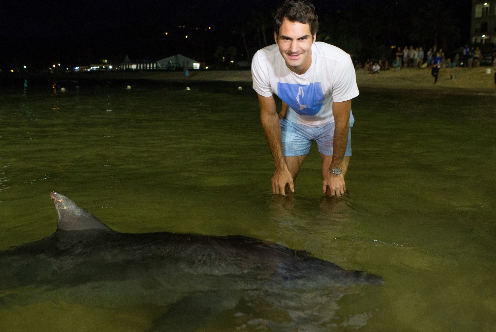 VIDEO: koaalad on pehmodele! Vaata, mis elukatega lustis Austraalias Roger Federer!