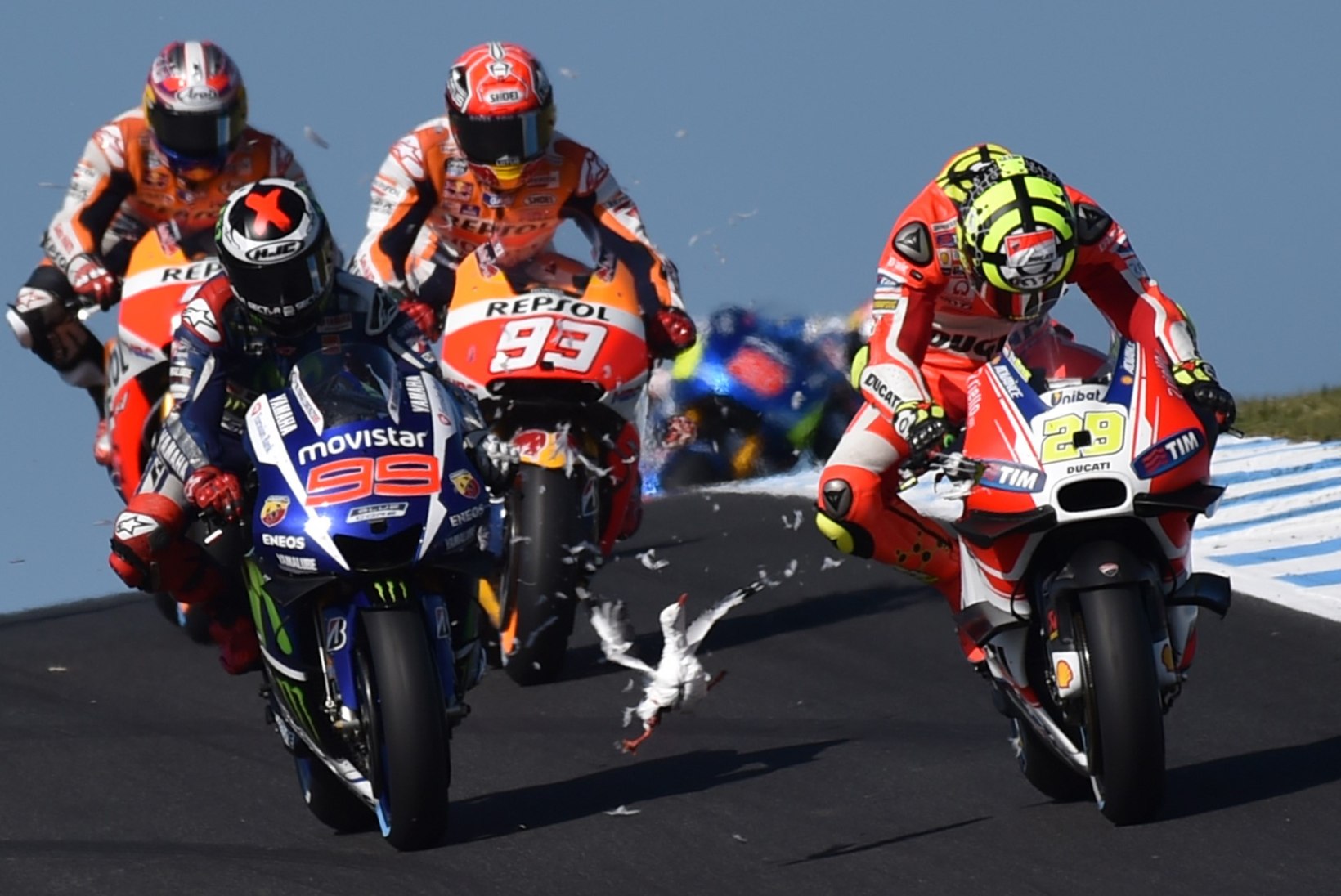 NUKKER VIDEO ja FOTOD | Mis juhtub, kui kajakas sattub MotoGP võistlusrajale