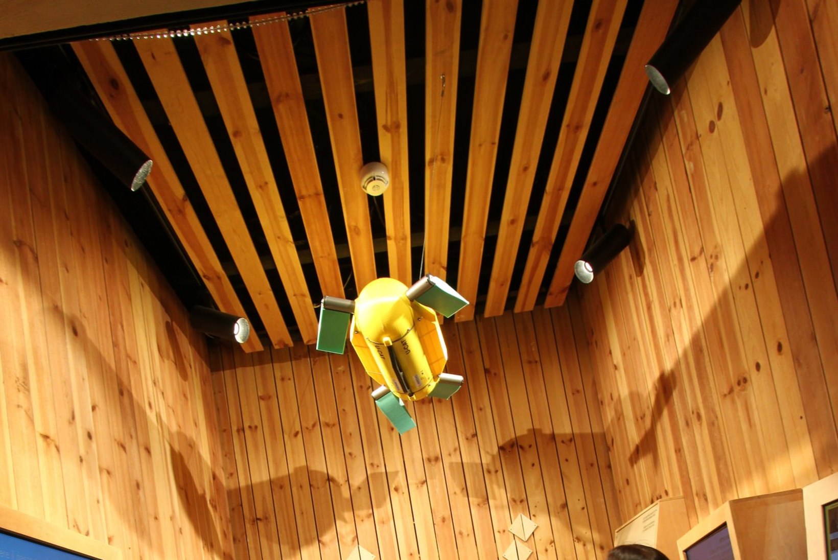 VIDEO | TTÜ teadlaste kilpkonnrobot on väljas EXPO maailmanäitusel