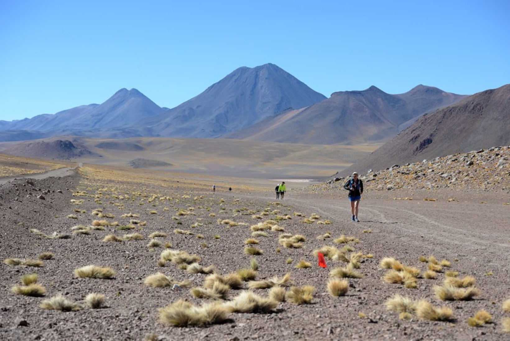 IMELISELT KAUNIS! Atacama kõrb puhkes õide