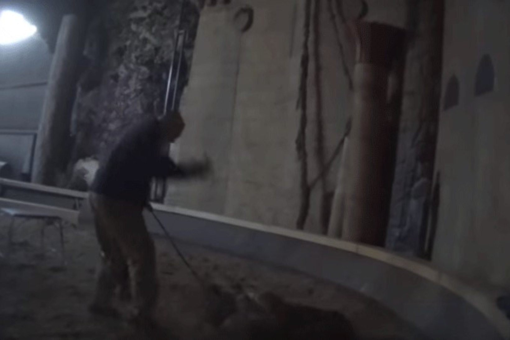 KOHUTAV VIDEO! Filmis "Pi elu" osalenud tiigrit taltsutanud mees tabati julmalt looma peksmas