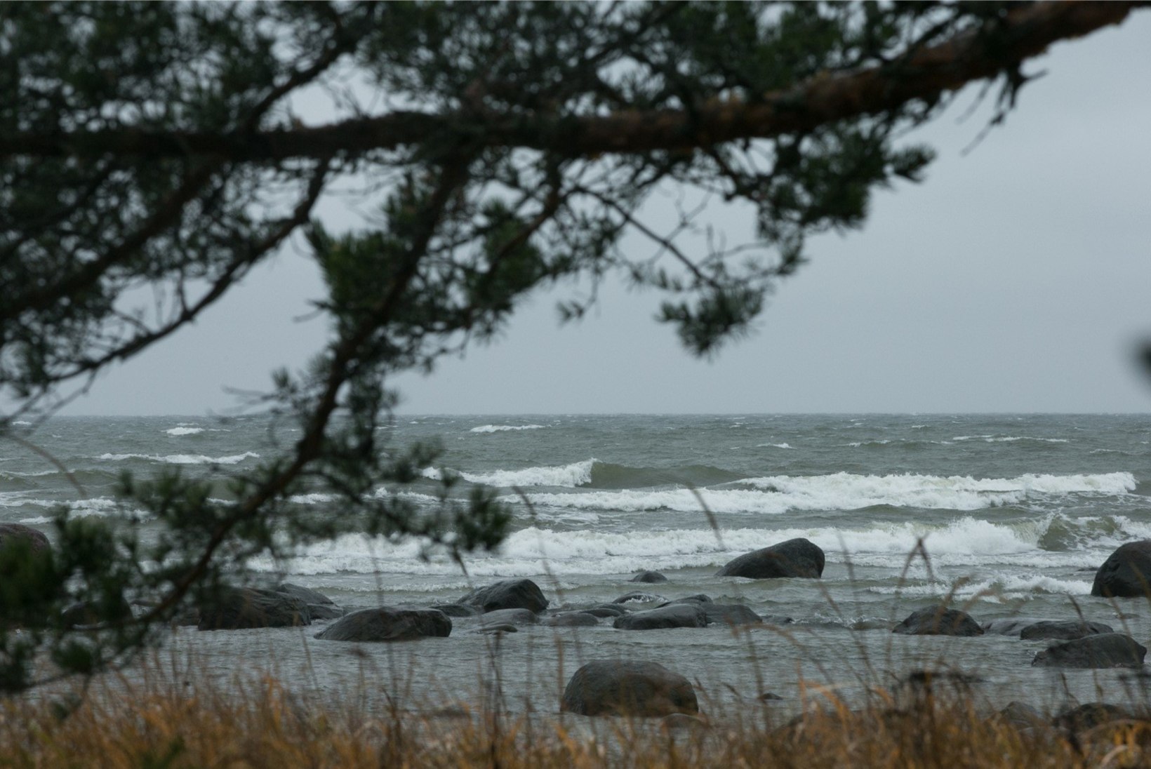 Ilmateenistus: täna päeval jätkub tuule tugevnemine, veetase tõuseb kõikjal Eesti läänerannikul