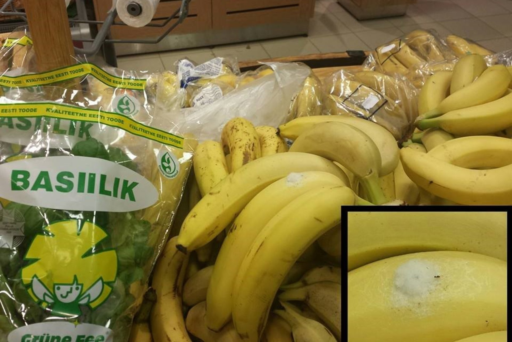 FOTO: kas Brasiilia mürgiämblik on redutanud ka Eestis müügil olevatel banaanidel?
