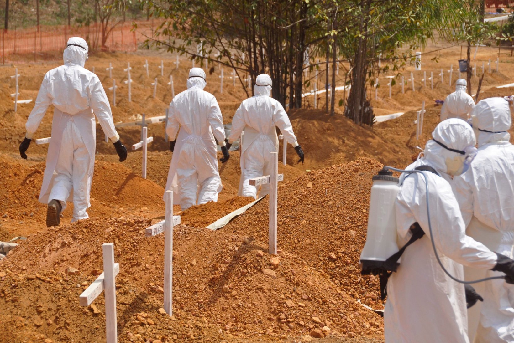 Piirideta Arstid: maailm reageeris Ebola viirushaiguse epideemiale liiga aeglaselt
