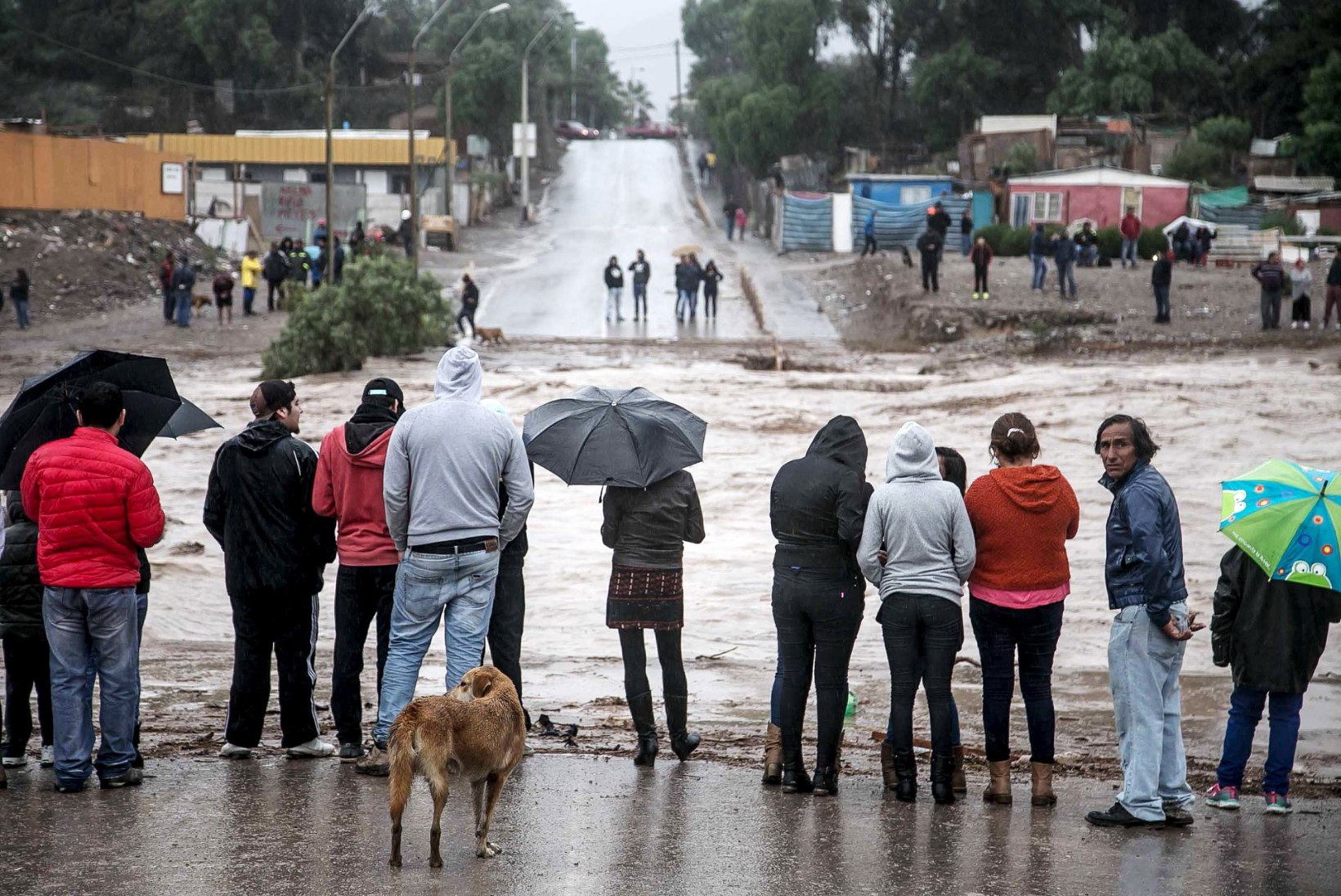 FOTOD: Tšiilis Atacama kõrbes tekkisid ootamatud üleujutused