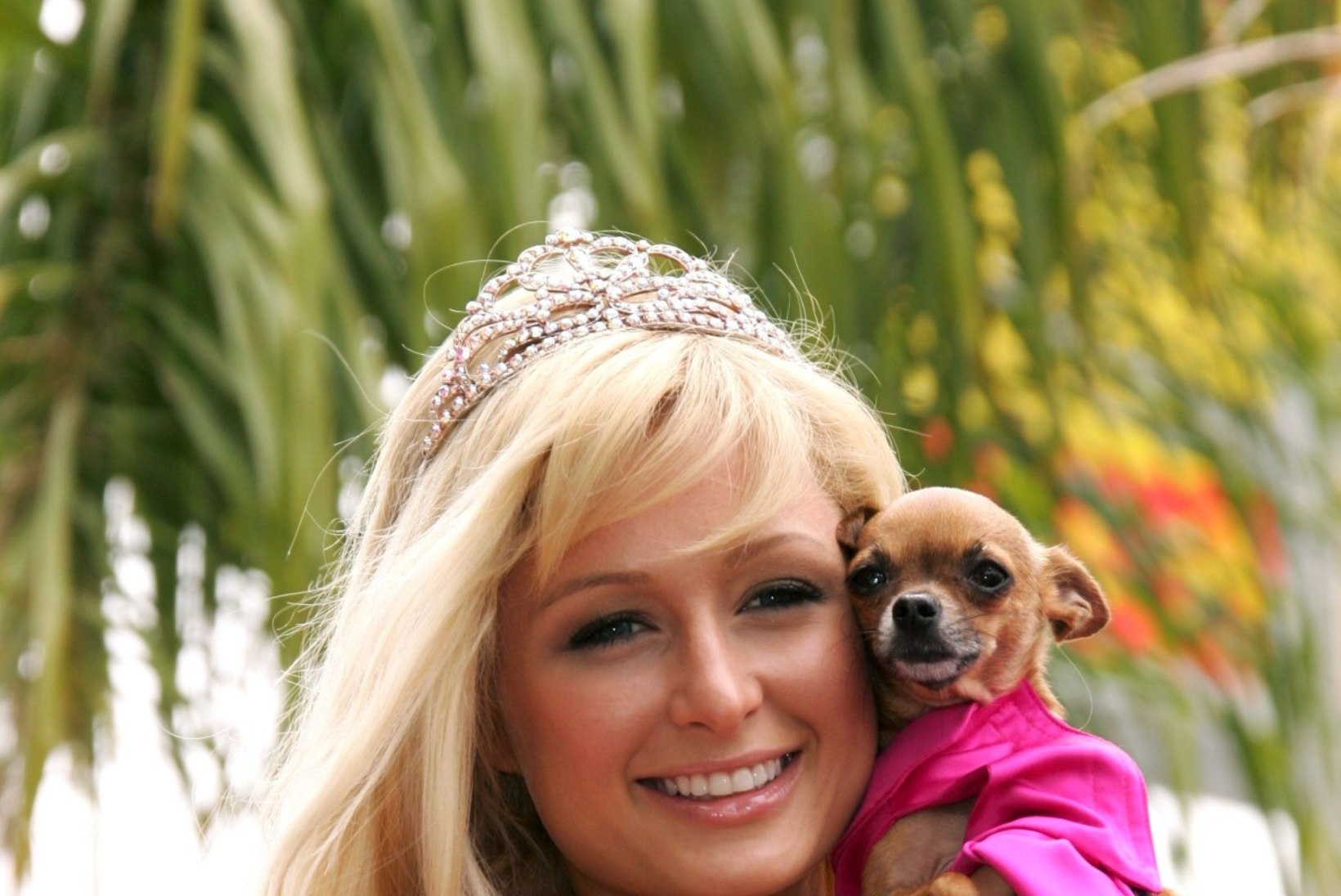 Paris Hilton leinab oma truud väikest koerakest