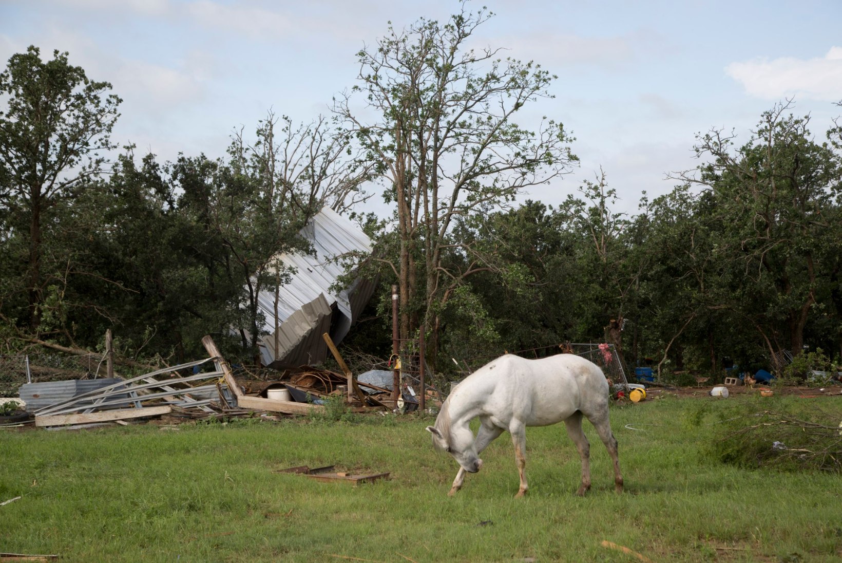 GALERII | Texast räsivad tulvaveed, paduvihm, tornaadod ja äikesetormid