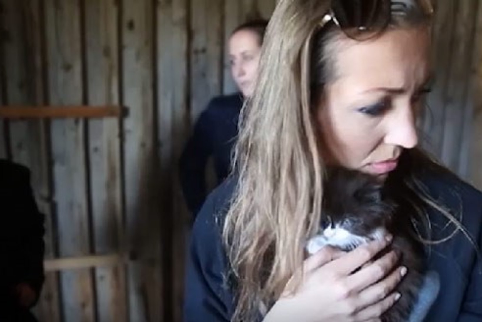 TV3 VIDEO l Kassikoloonia Haapsalu lähedal valmistab loomakaitsjatele muret