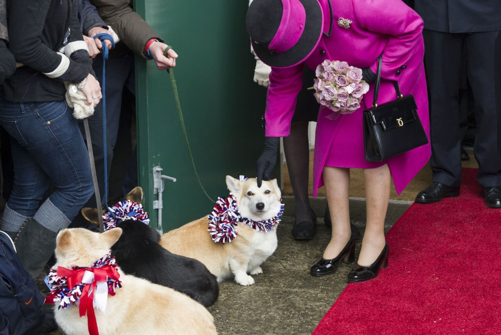 Kuninganna Elizabeth II tõmbab koerakasvatust koomale