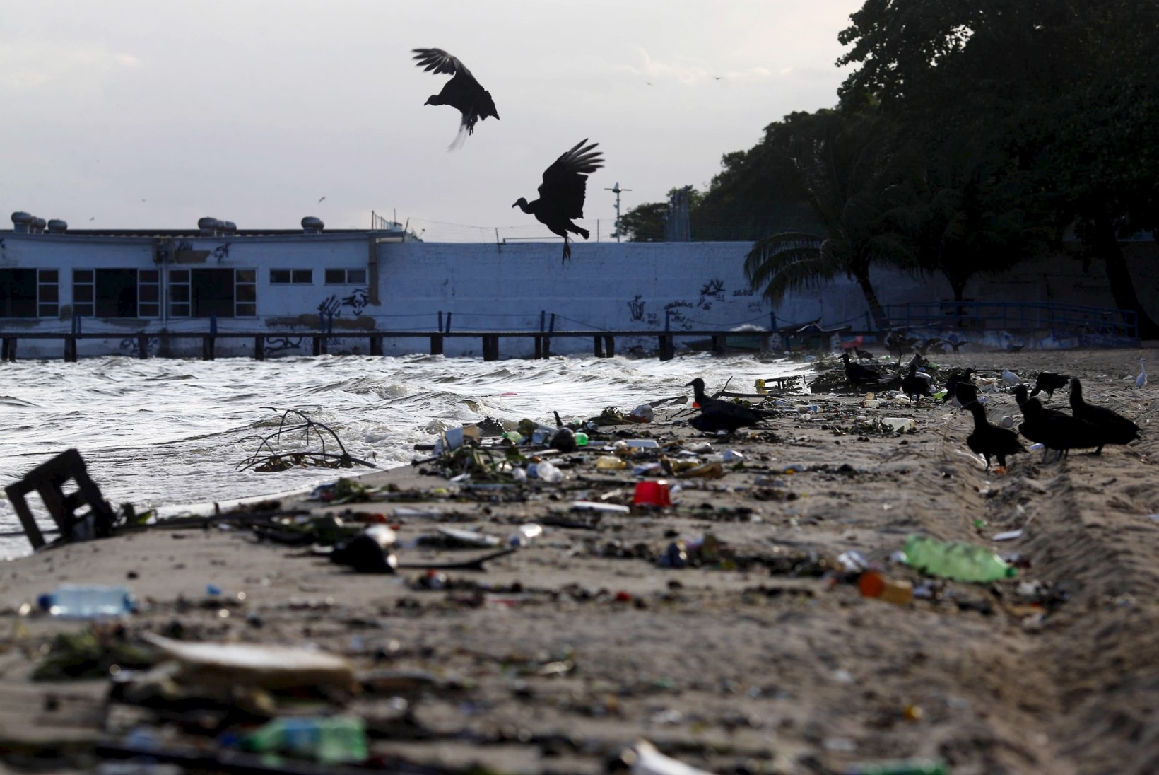 ROKi president Bach: Rio purjeveed peavad saama puhtamaks!