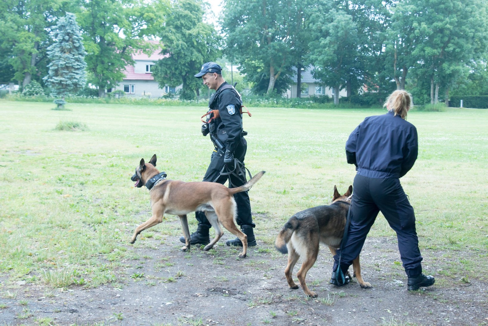GALERII | TÄIEGA NUNNU: politseikoerad peavad Saaremaal "suvepäevi".