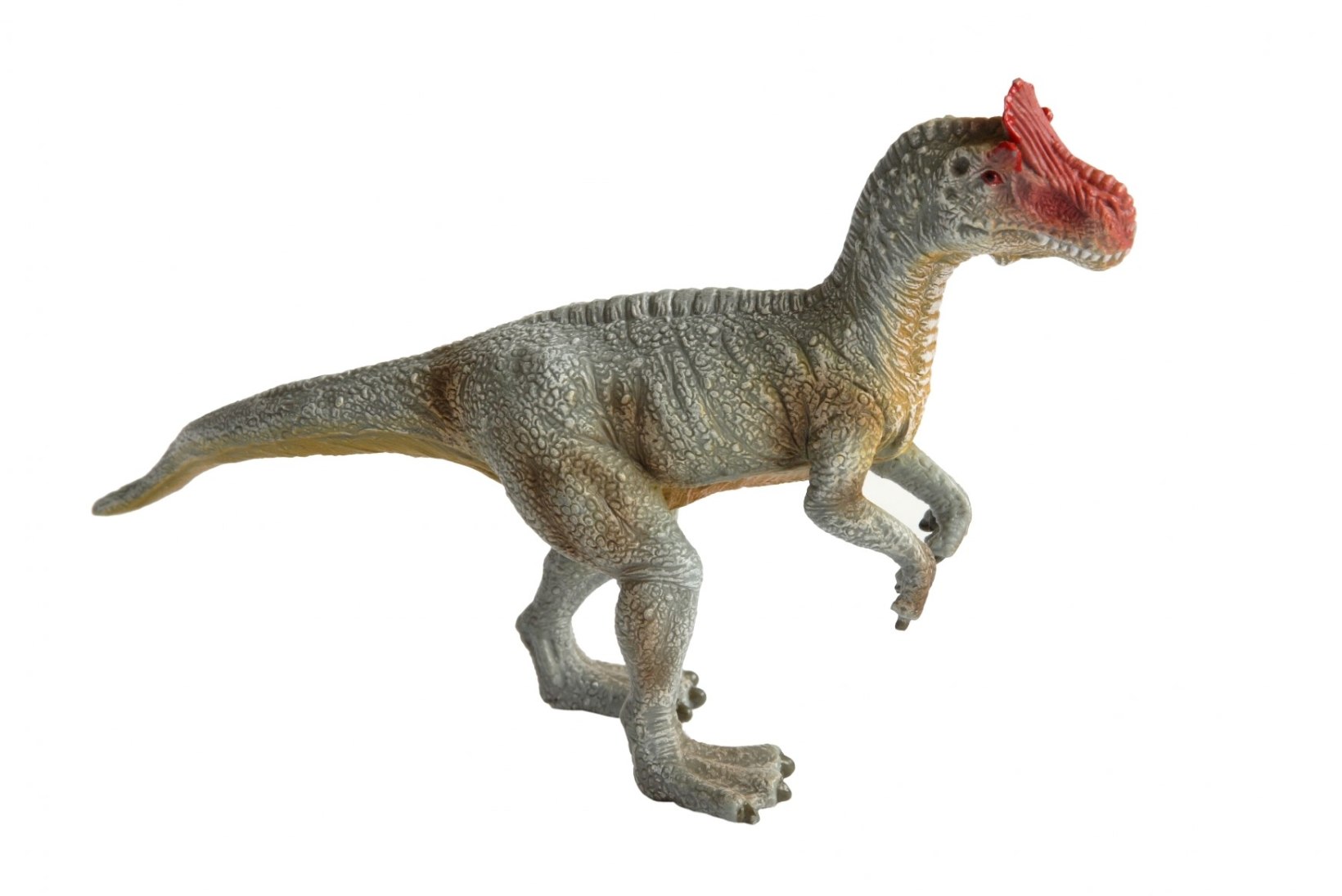AIDAKE VÄLJA: arstile pöördunud naise vagiinast eemaldati dinosaurus