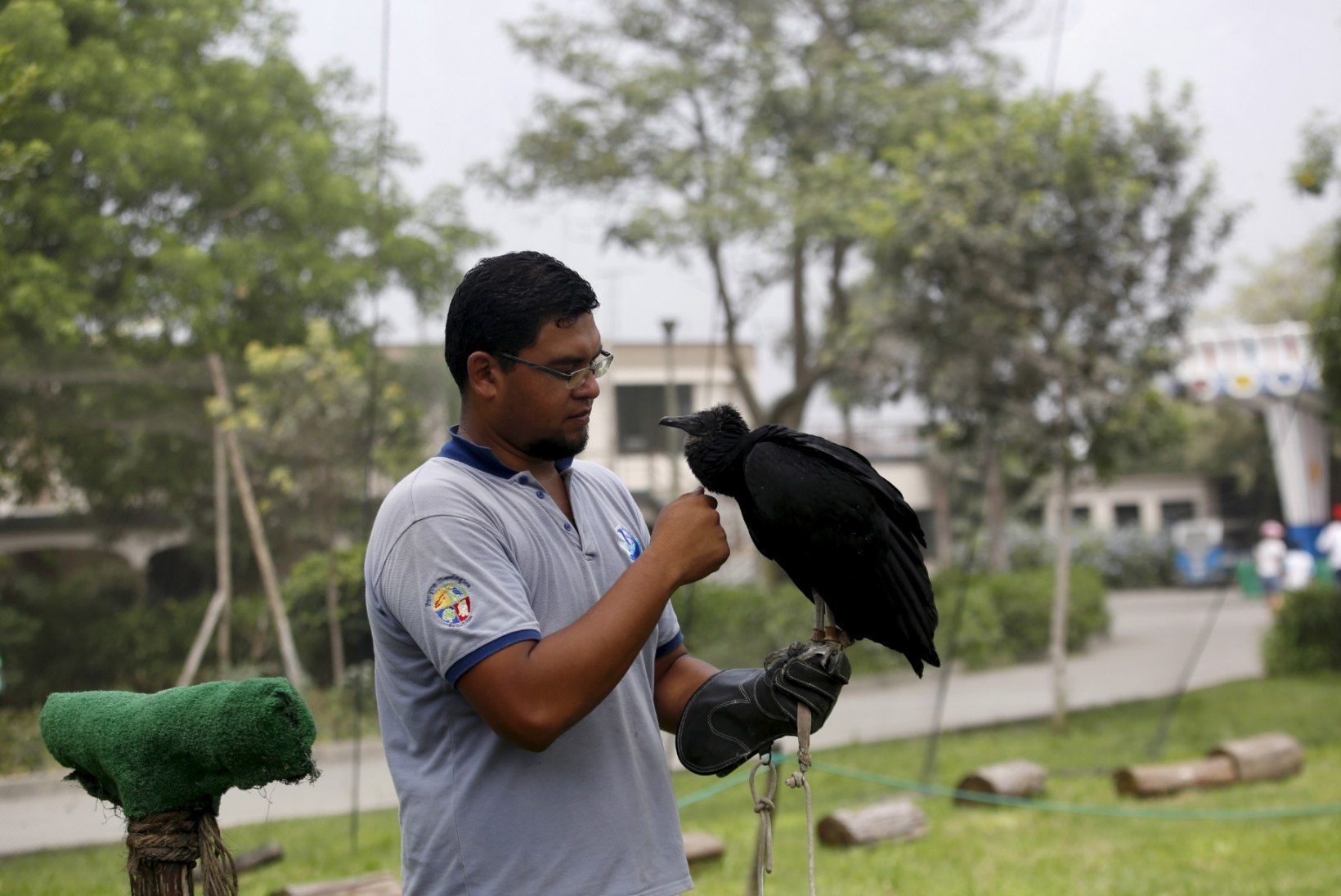 GALERII | MIDA TEHA KODUSTATUD RAISAKOTKAGA? Linnud otsivad Peruus ebaseaduslikke prügimägesid