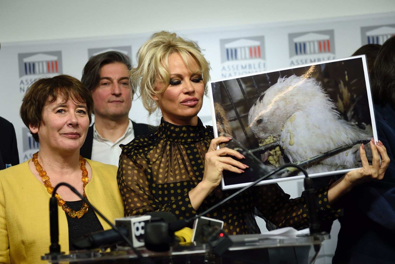 JÕHKRA NUUMAMISE VASTU: Pamela Anderson võitleb Prantsusmaal hanede ja partide eest
