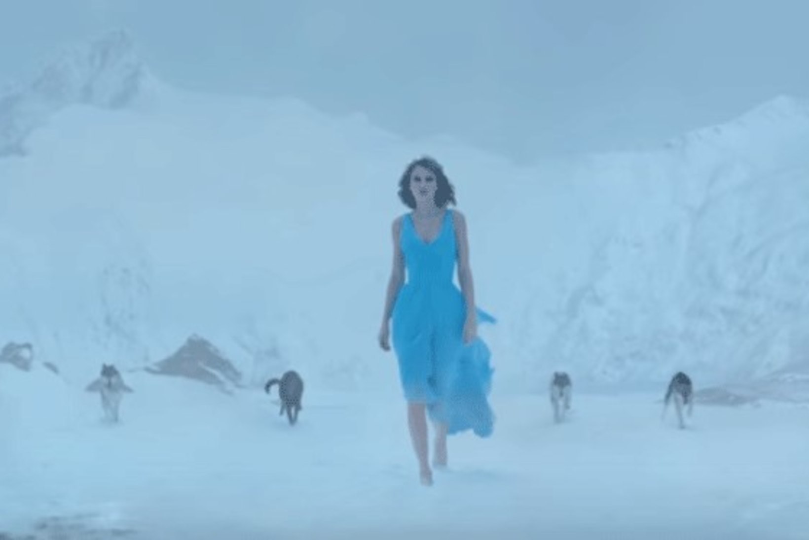 Hundid, lumi ja mets ehk Vaata Taylor Swifti uut müstilist muusikavideot!