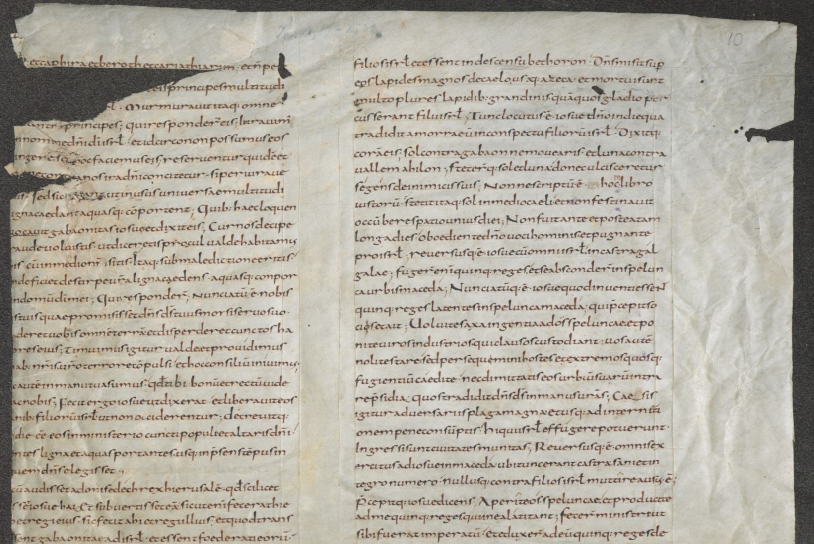 9. sajandi piiblileheküljest luubiga loetavate kääbusraamatuteni: mis haruldusi leidub Eesti tähtsamates raamatukogudes?