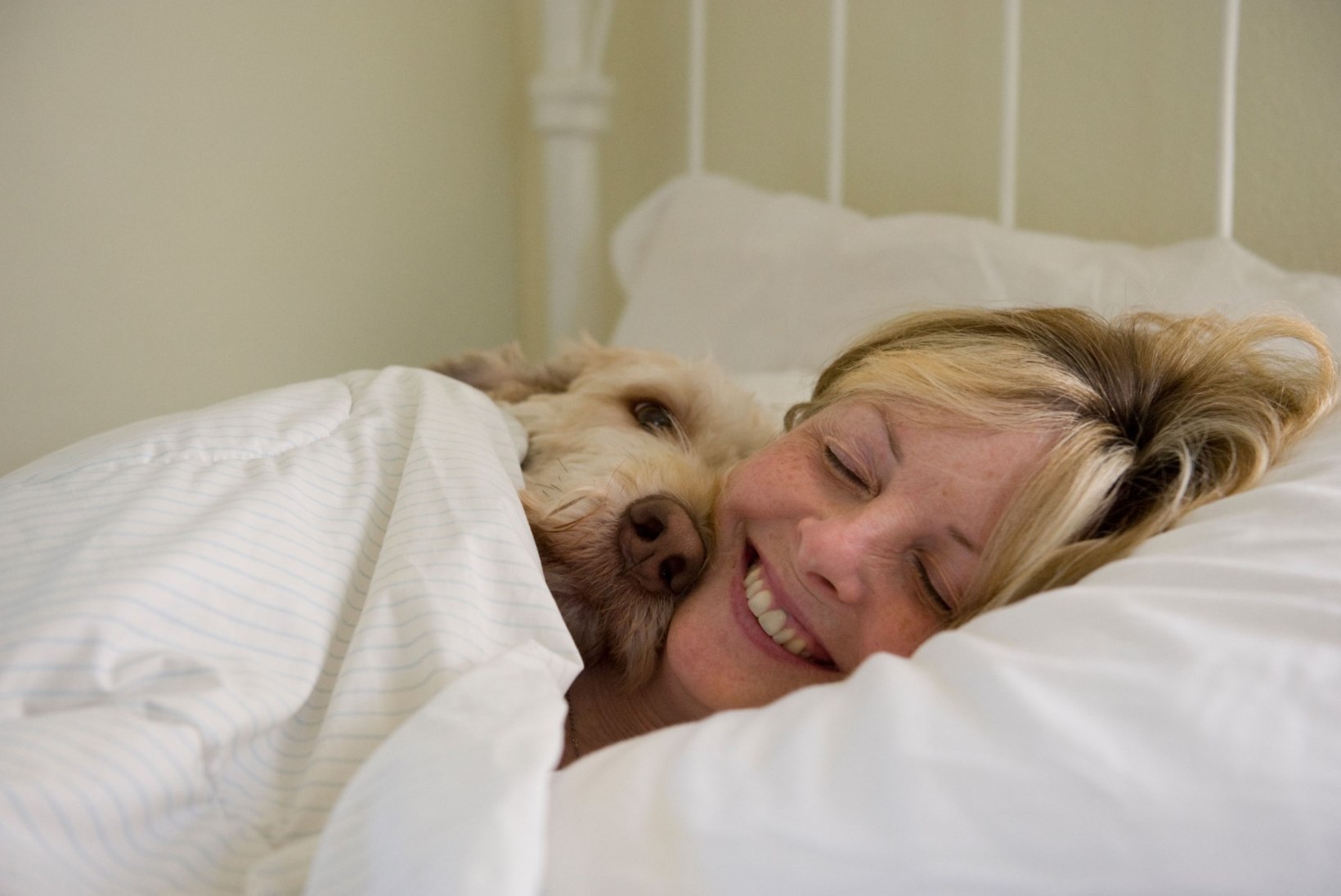 Viis põhjust, miks koeraga voodi jagamine on tegelikult väga kasulik!