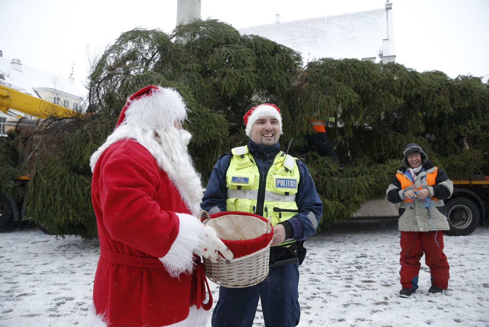 GALERII | JÕULUVANA JA POLITSEI: vaata, kuidas jõulukuusk jõudis Tallinnasse