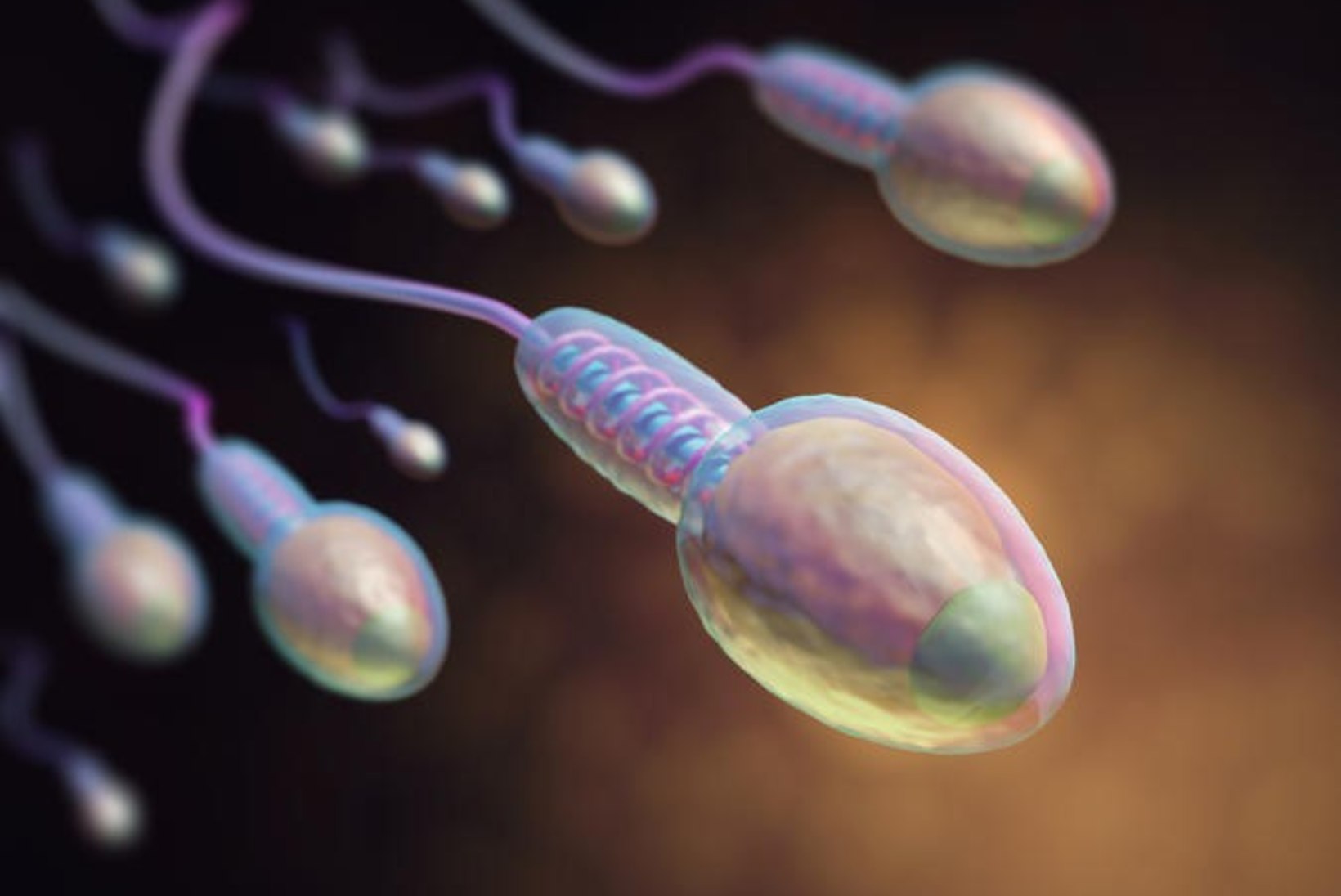 Uus avastus! Sperma joomine pikendab eluiga