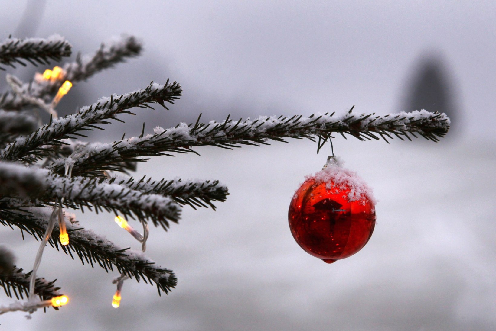 PÜHADERÕÕM: Ilmaprognoos lubab jõuludeks valget lumevaipa