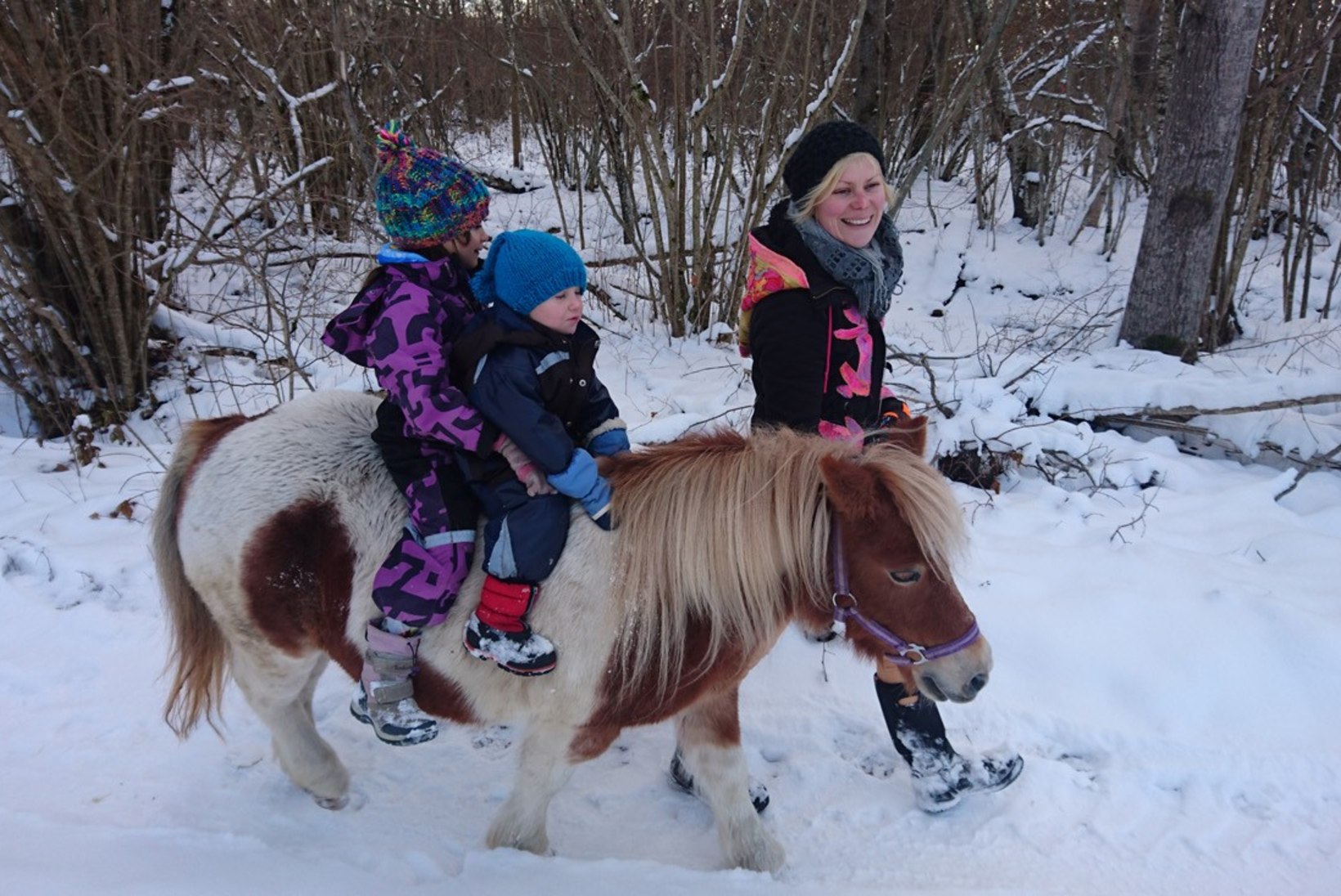 "Meie pere ja muud loomad" uus hooaeg! Kuidas möödub Heidi Hanso ja laste talv Pajuvärava talus? 