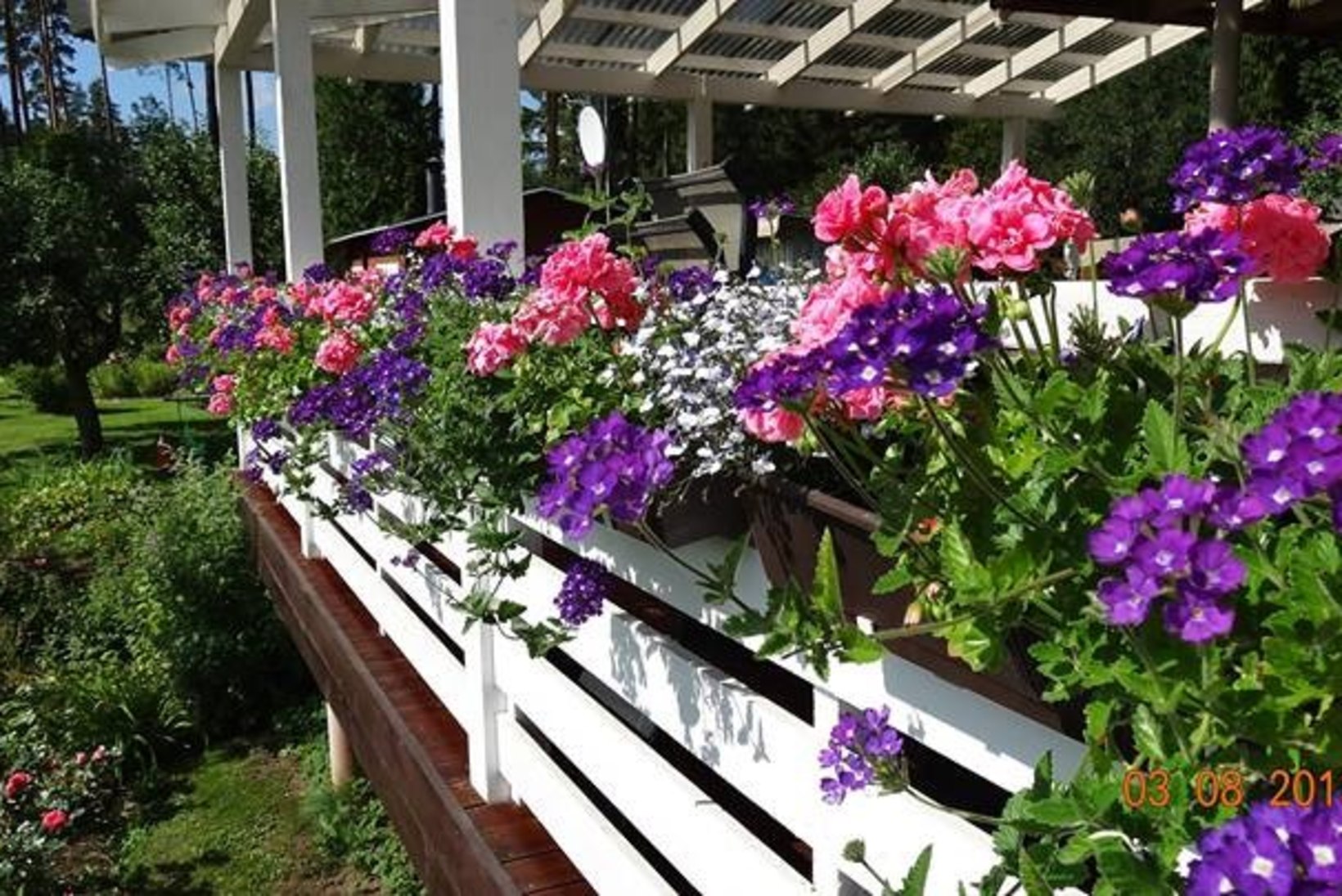 RÕÕM KEVADEST | Milliseid lilli ja taimi istutada kevadel rõdule või terrassile?
