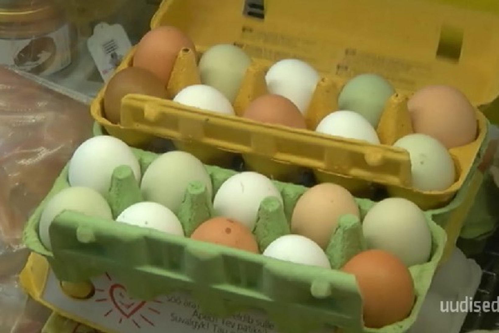 TV3 VIDEO | USKUMATU, AGA TÕSI! Kanad munevad ka värvilisi mune