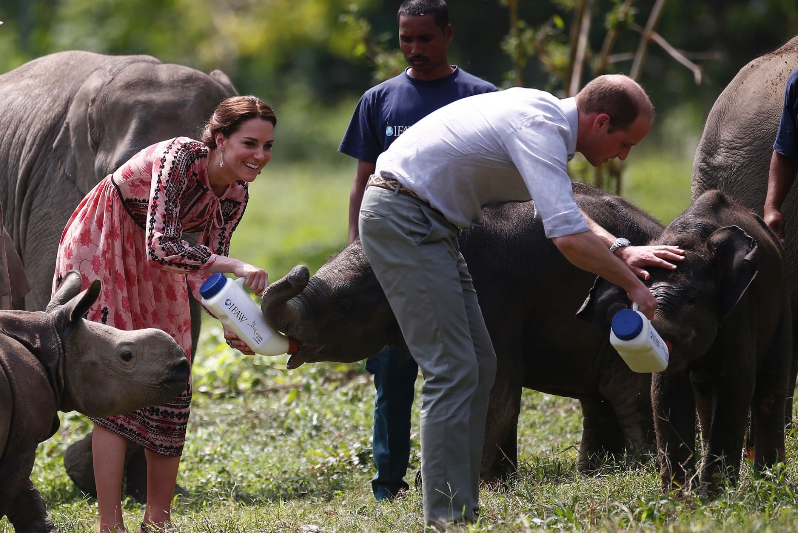GALERII | Hertsoginna Catherine aitas toita nii elevandipoega kui väikest ninasarvikut