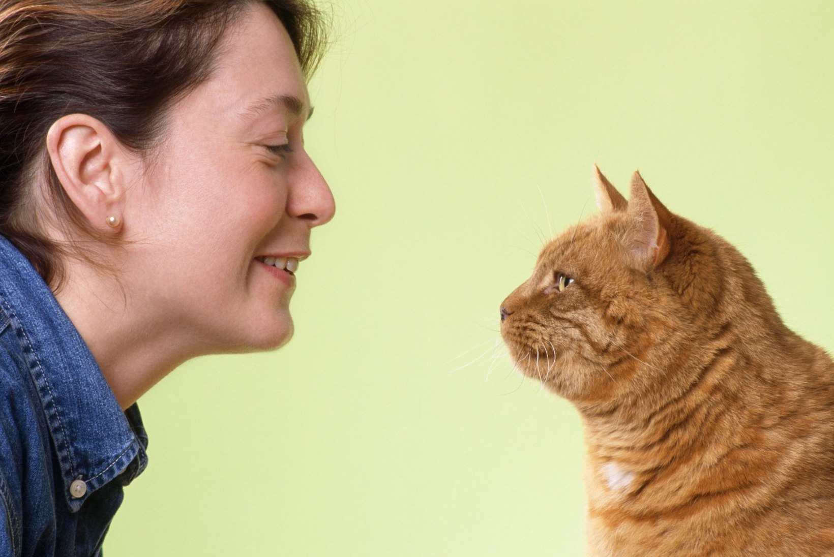 ETTEVAATUST: kass võib su vaimse tervisega trikke teha!