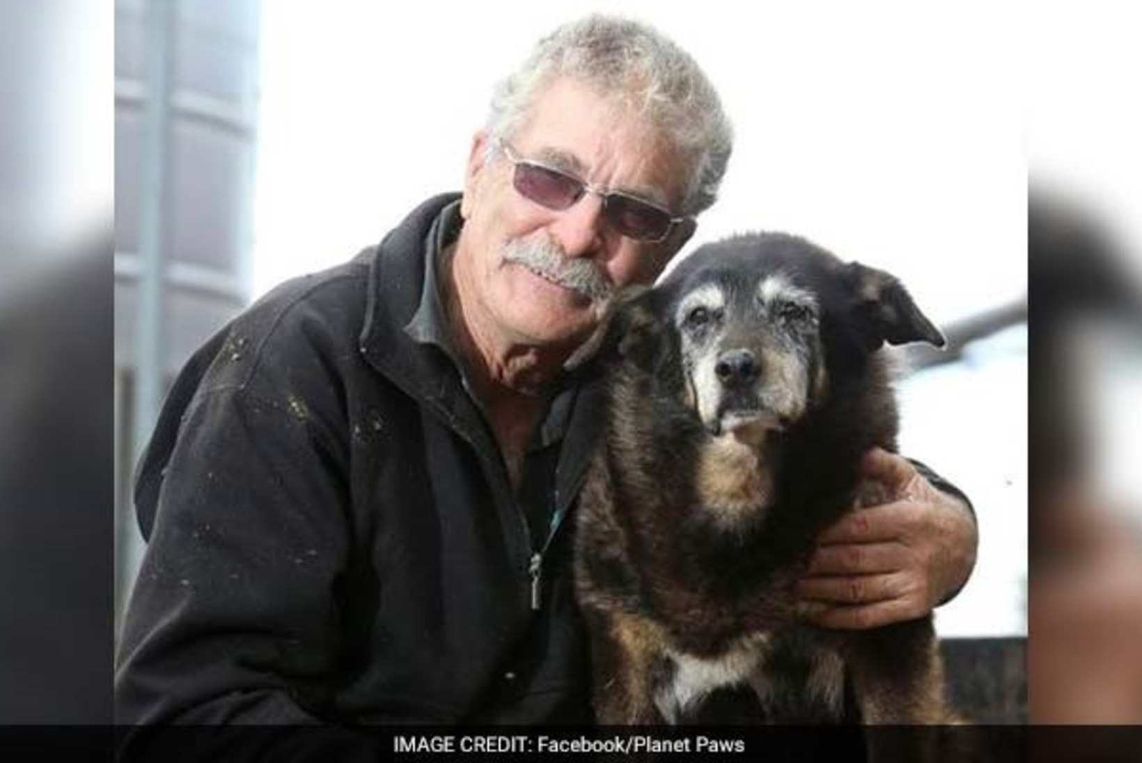 Maailma vanim koer suri 30aastasena