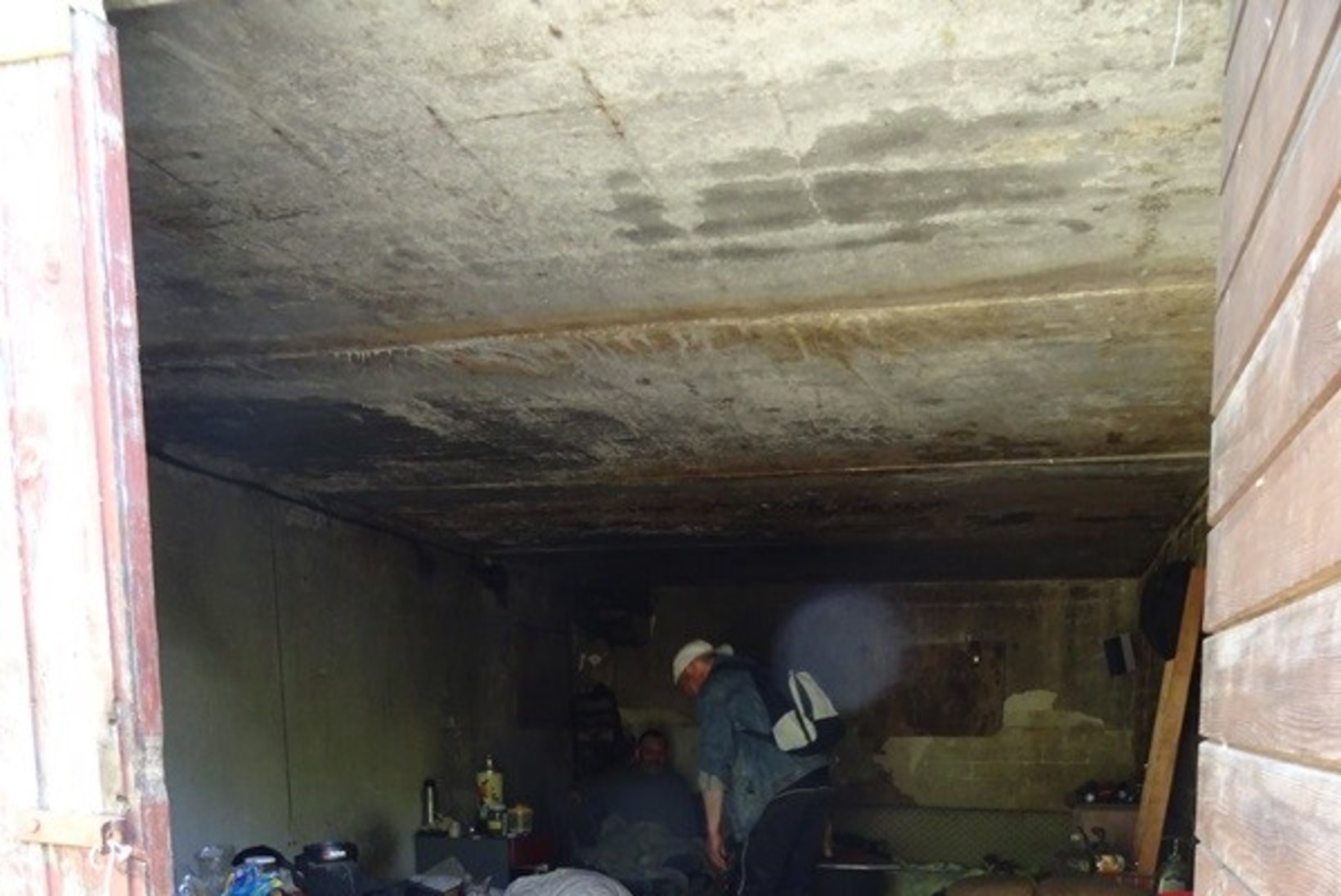FOTOD | Mahajäetud garaažidest avastati kassikoloonia