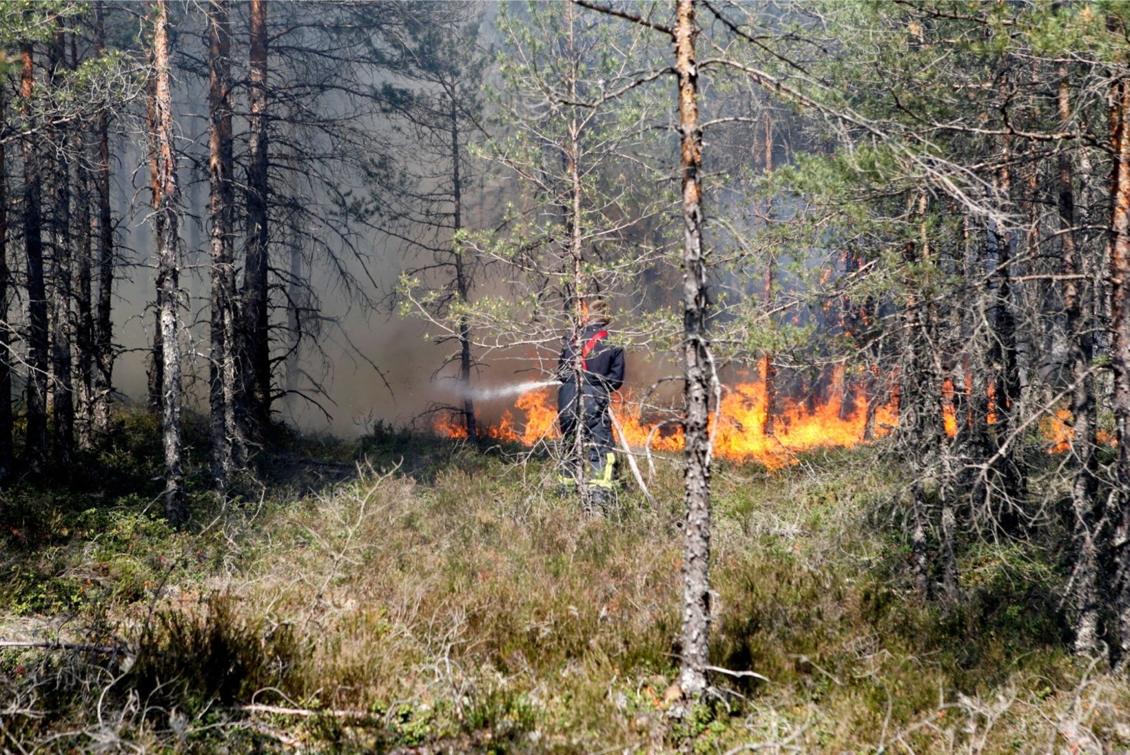 FOTOD | Eesti-Läti piiril ulatub metsapõlengu pindala juba ligi 20 hektarini
