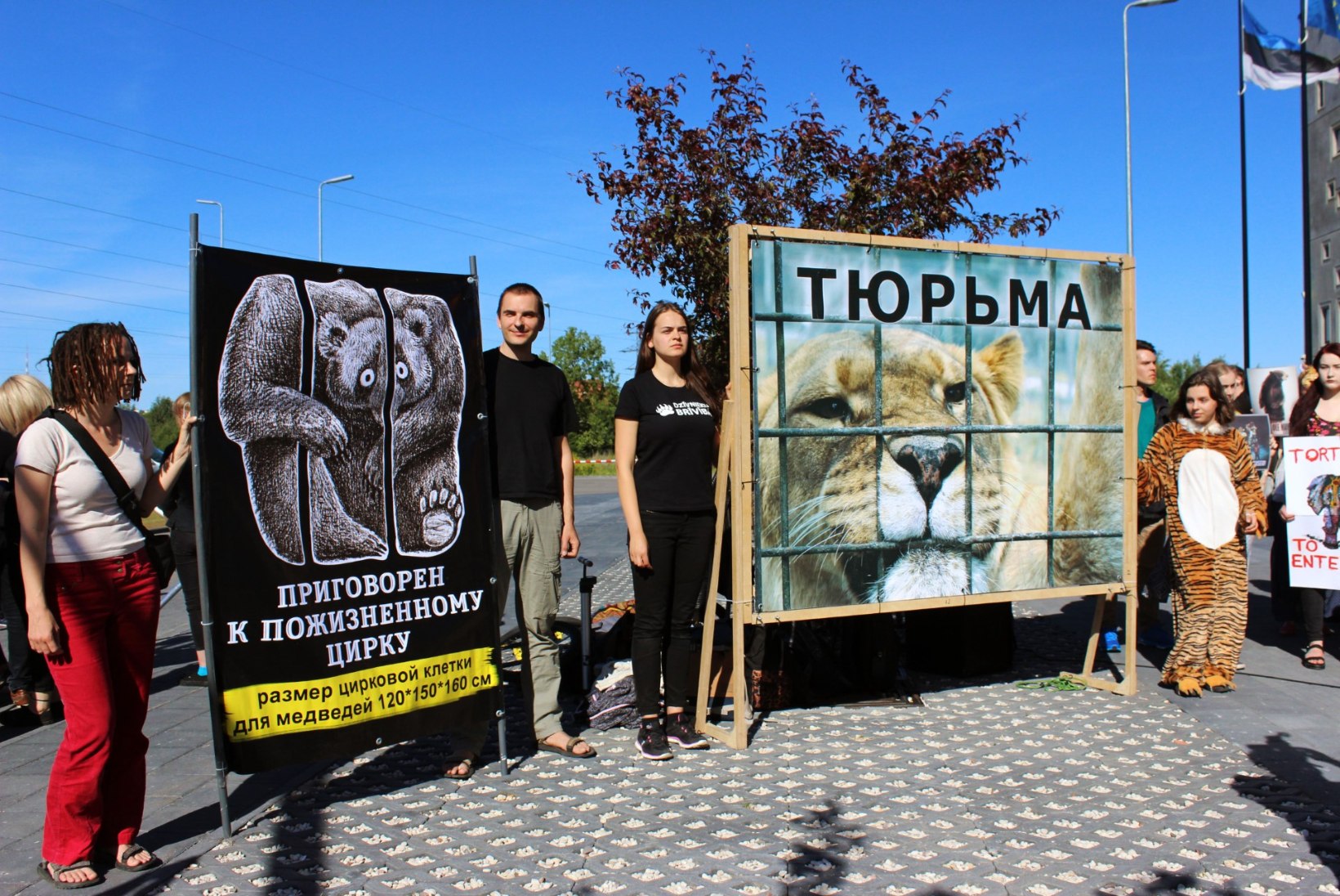 Tallinnas toimus Eesti ajaloo suurim meeleavaldus loomatsirkuste vastu