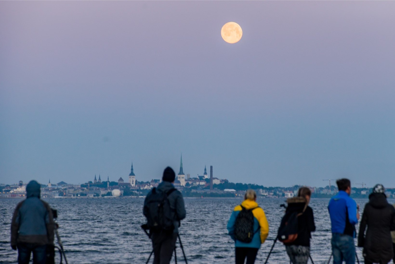 ÕHTULEHE GALERII | Loojuv kuu Tallinna kohal ehk Kuidas ilm pildistajaid ninapidi vedas