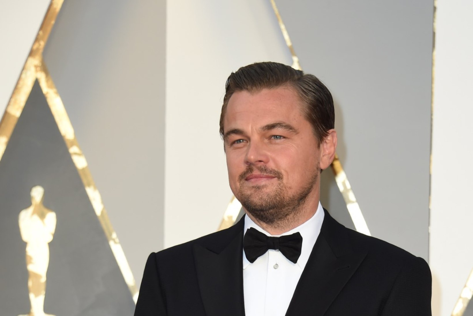 DiCaprio vedas kihla, et magatab öö jooksul kuut pesumodelli