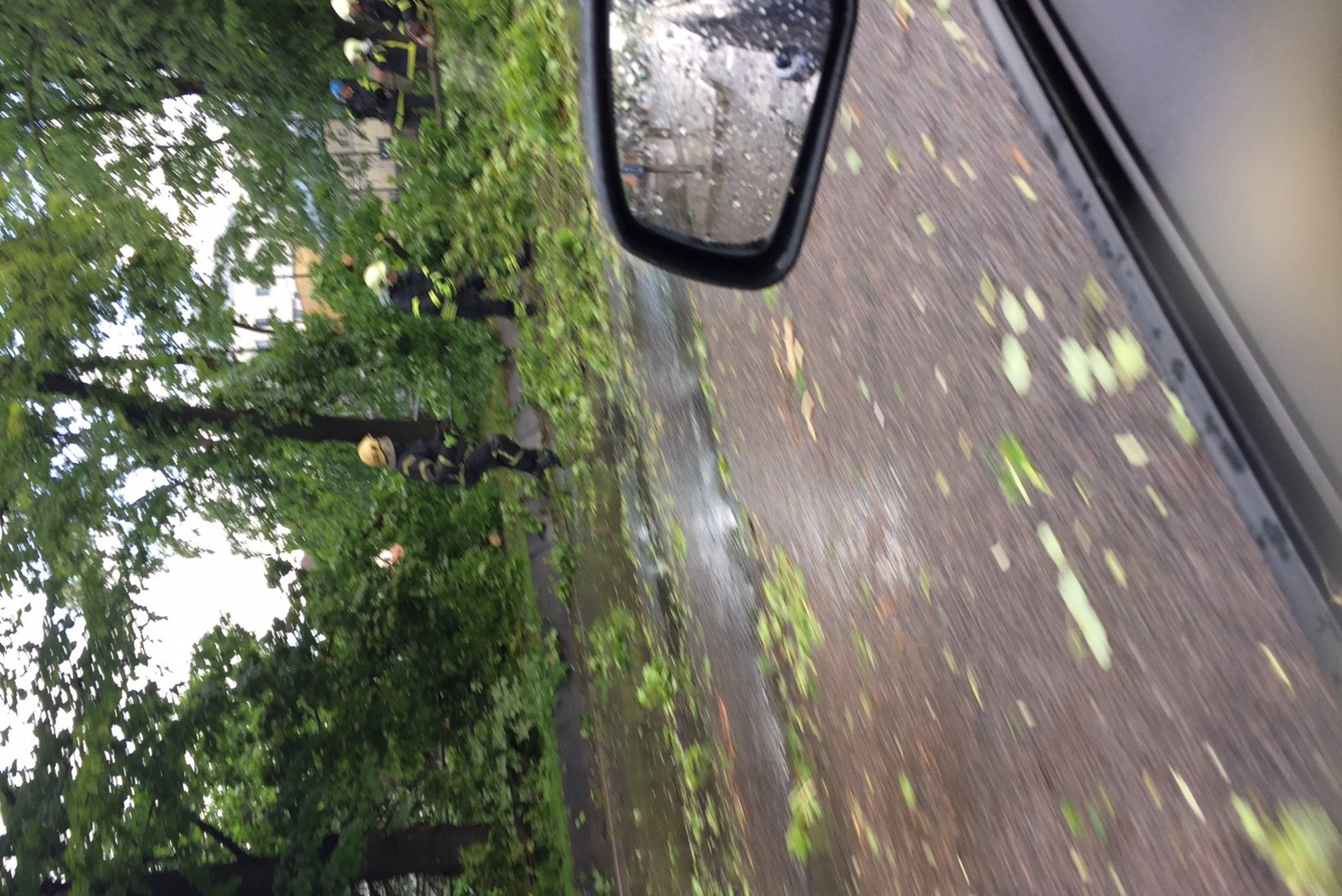 PILTUUDIS | Tartut tabanud äikesetorm murdis Riia mäel puu